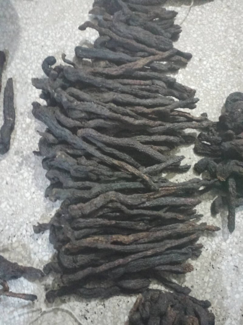 肉苁蓉软肉苁蓉产地直销量大从优一手货源
