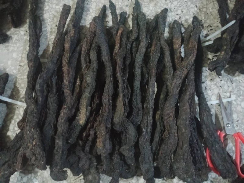 肉苁蓉软肉苁蓉产地直销量大从优一手货源