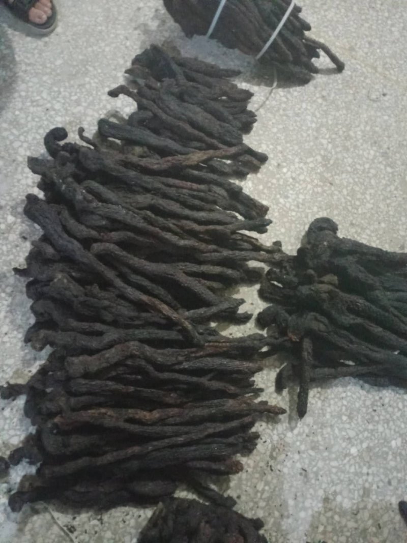 肉苁蓉软肉苁蓉产地直销量大从优一手货源