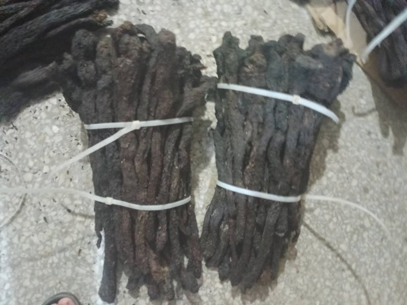 肉苁蓉软肉苁蓉产地直销量大从优一手货源