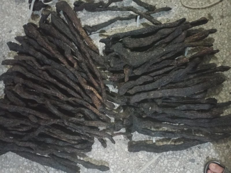 肉苁蓉软肉苁蓉产地直销量大从优一手货源