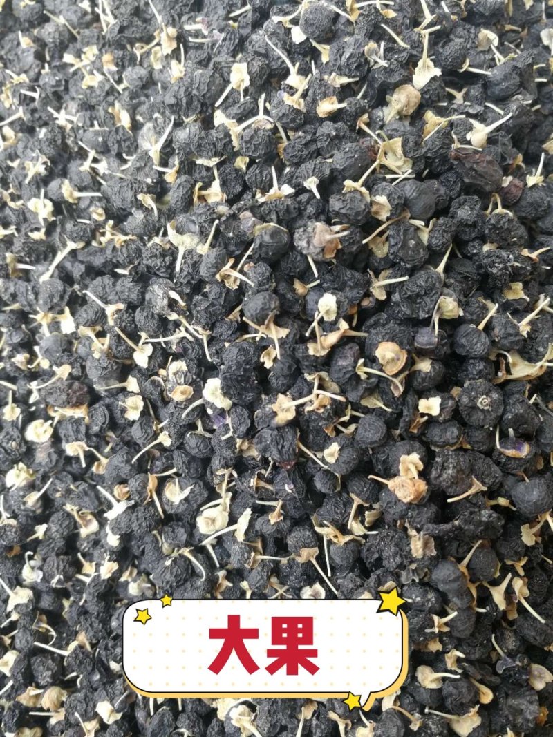 黑枸杞产地直销量大从优一手货源