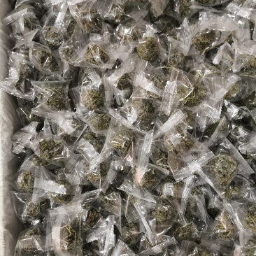 绞股蓝球状绞股蓝产地直销量大从优一手货源