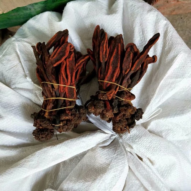 回春草捆吧回春草产地直销量大从优