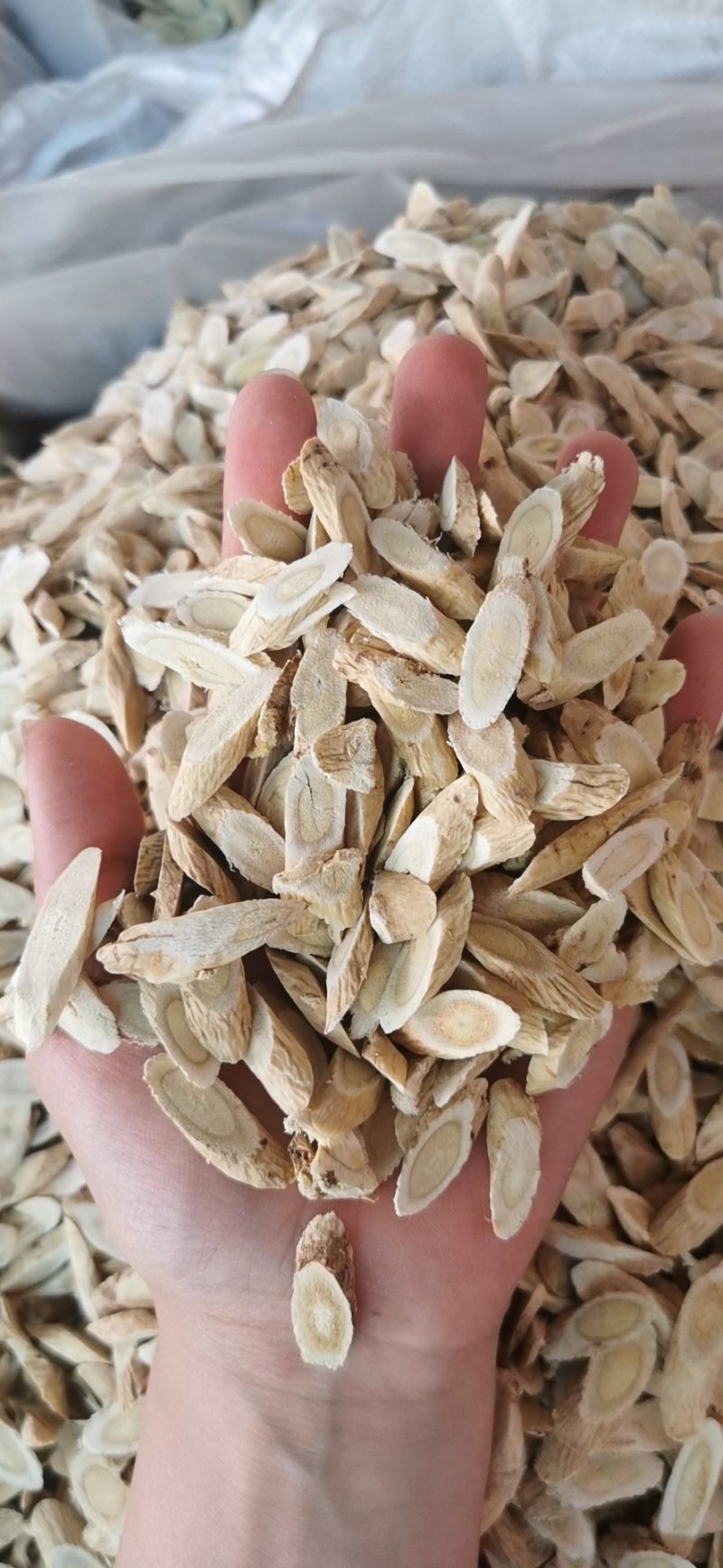 黄芪黄芪片产地直销量大从优