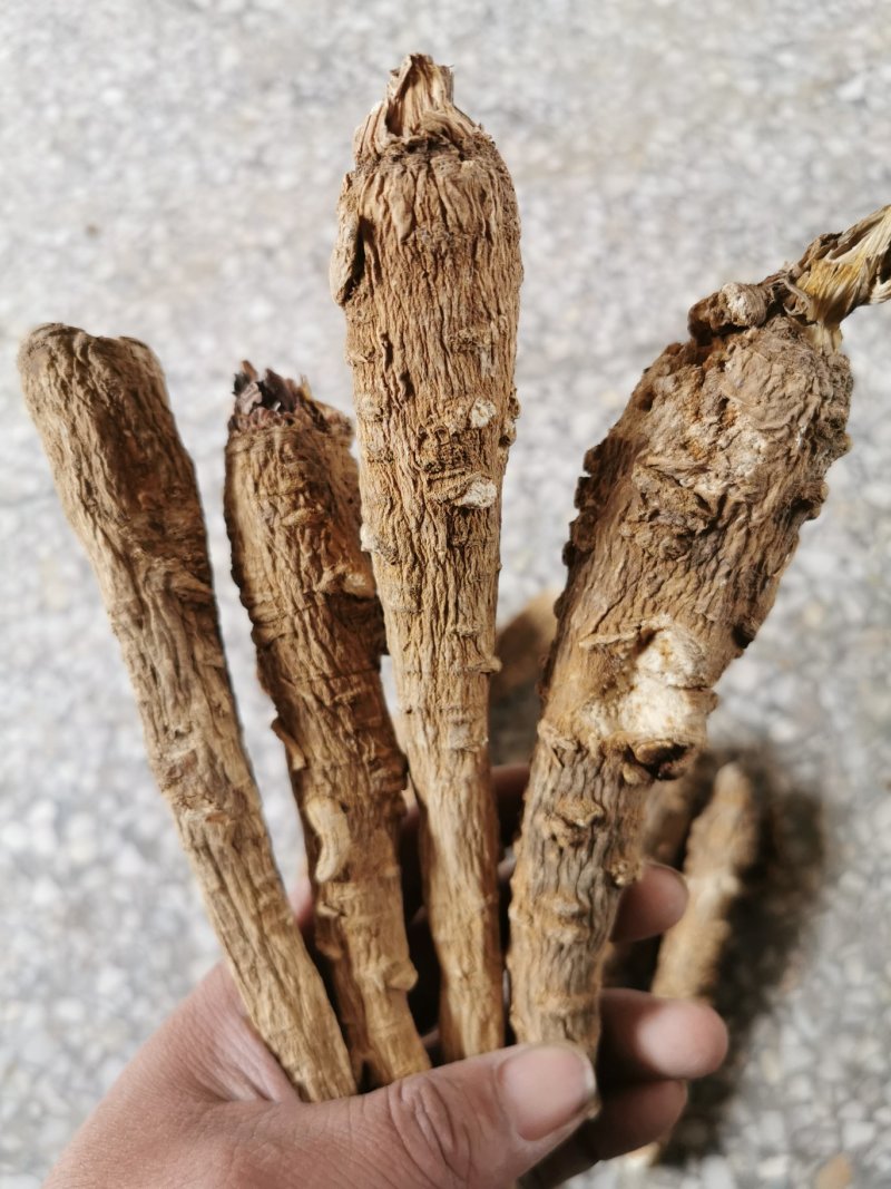 白芷白芷个产地直销量大从优一手货源