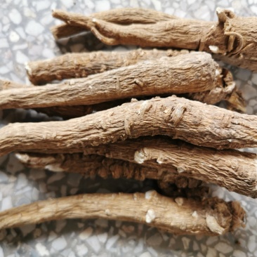 白芷白芷个产地直销量大从优一手货源