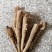 白芷白芷个产地直销量大从优一手货源