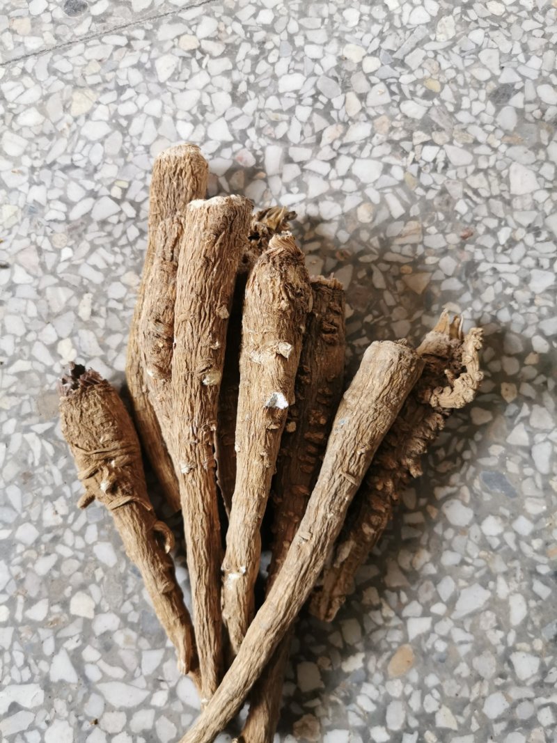 白芷白芷个产地直销量大从优一手货源
