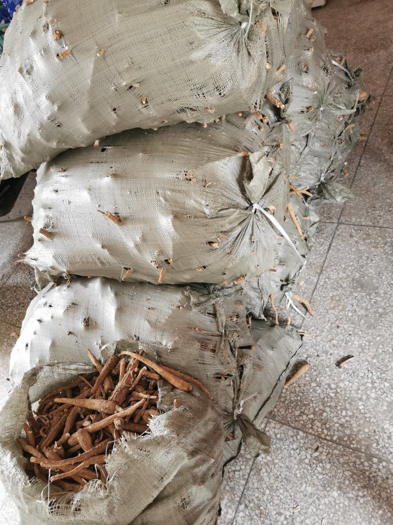 白芷白芷个产地直销量大从优一手货源