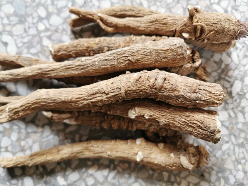 白芷白芷个产地直销量大从优一手货源