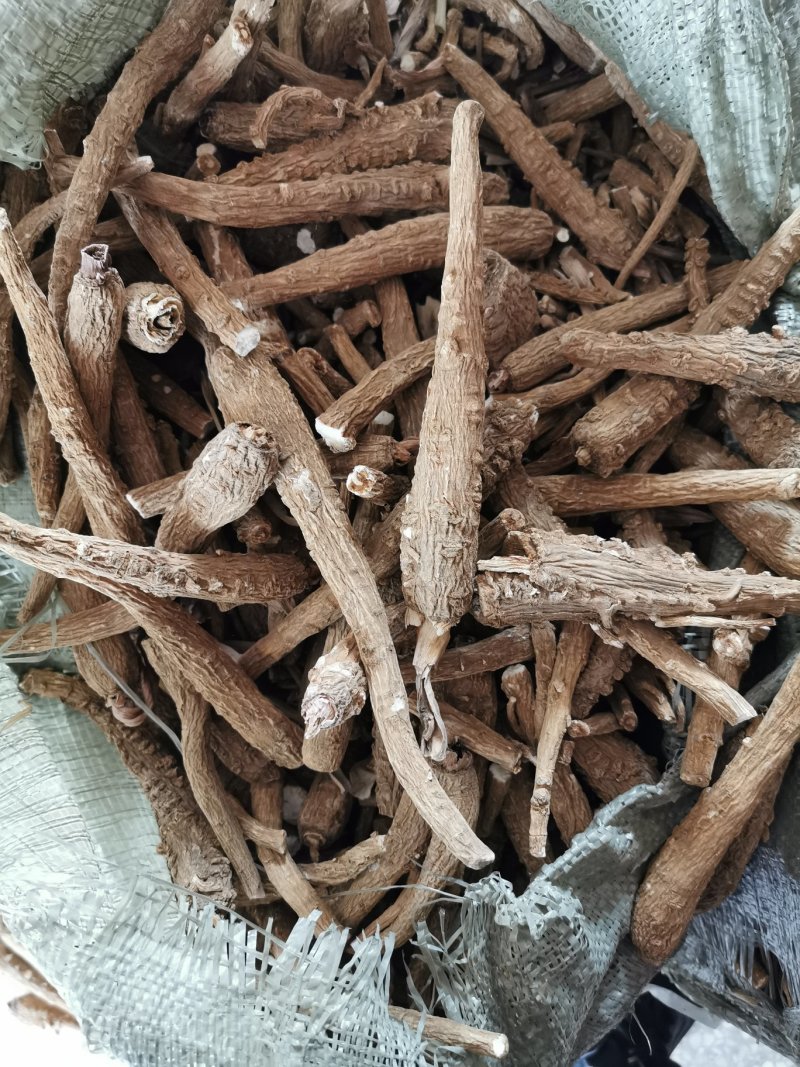 白芷白芷个产地直销量大从优一手货源