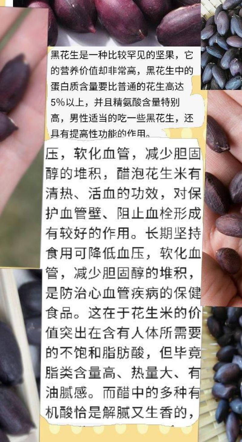 黑花生稀少黑花生富硒黑花生逢黑必补黑花生5斤装包邮
