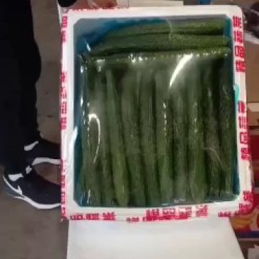 黄瓜黄瓜黄瓜黄瓜黄瓜