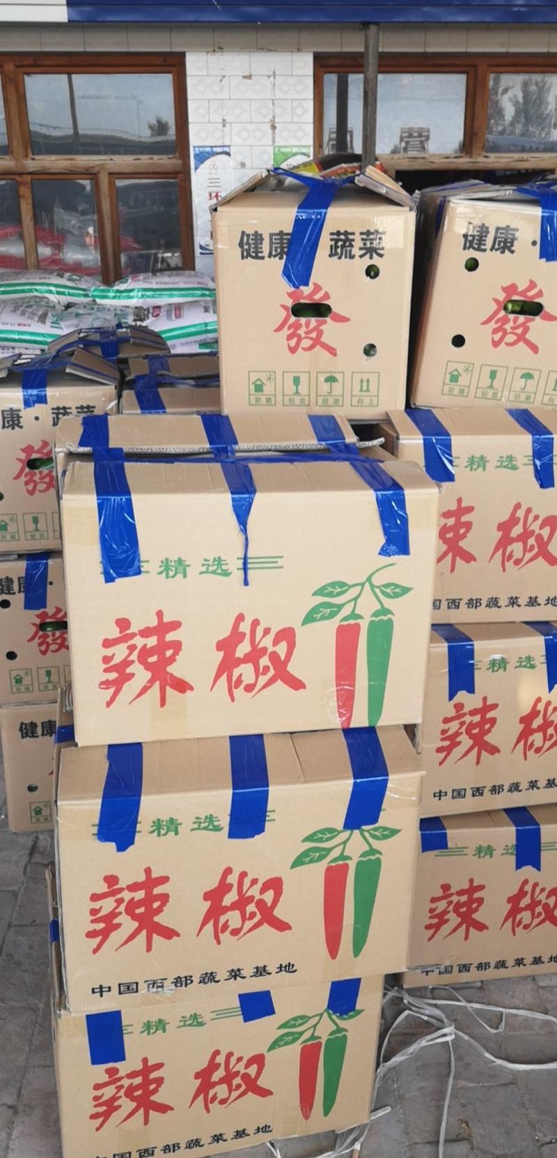 陕西省榆林定边县白泥井镇圆椒大量有货，基地直供，量大从优