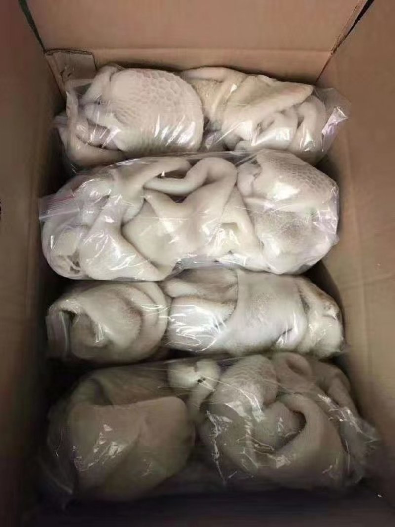 精品羊肚一箱20斤五斤一包常年加工质量保证
