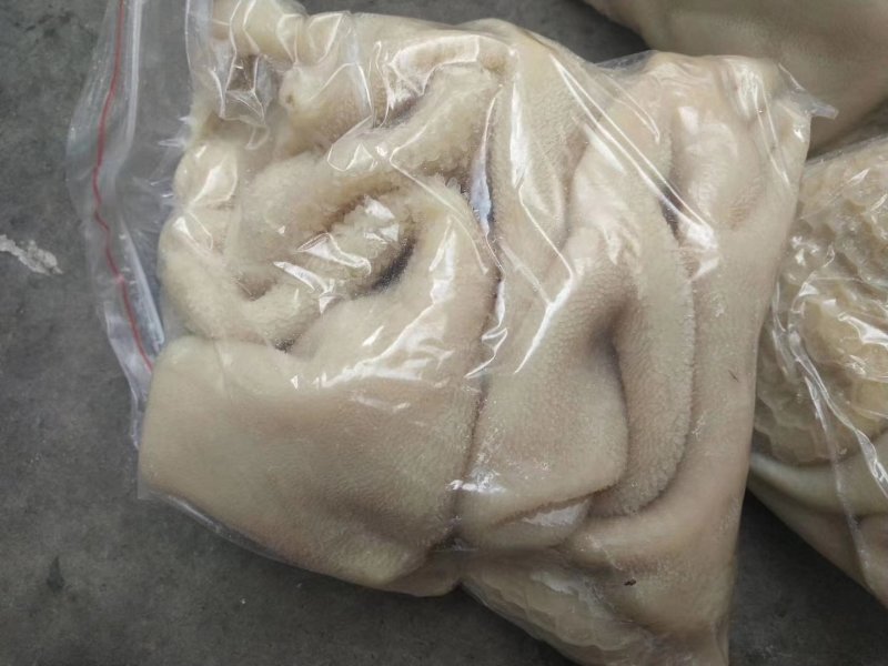 精品羊肚一箱20斤五斤一包常年加工质量保证