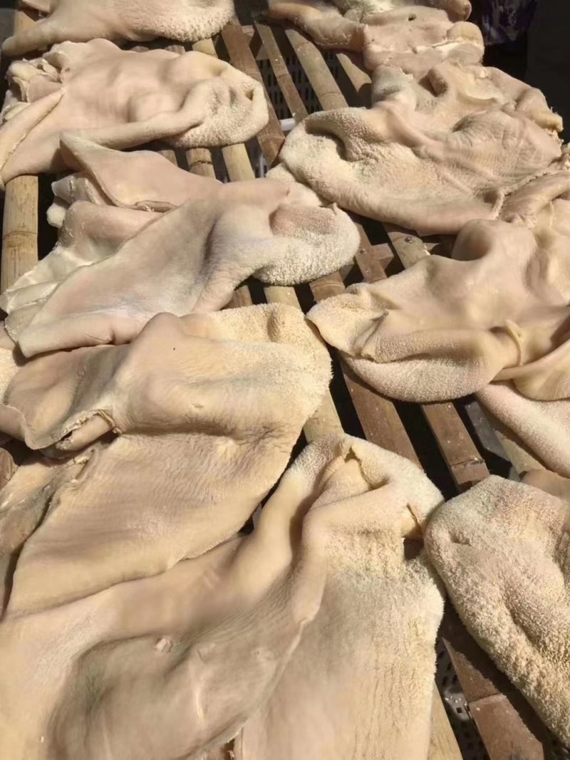 【熟牛肚】全熟水煮牛肚里外精修无油一件三十斤