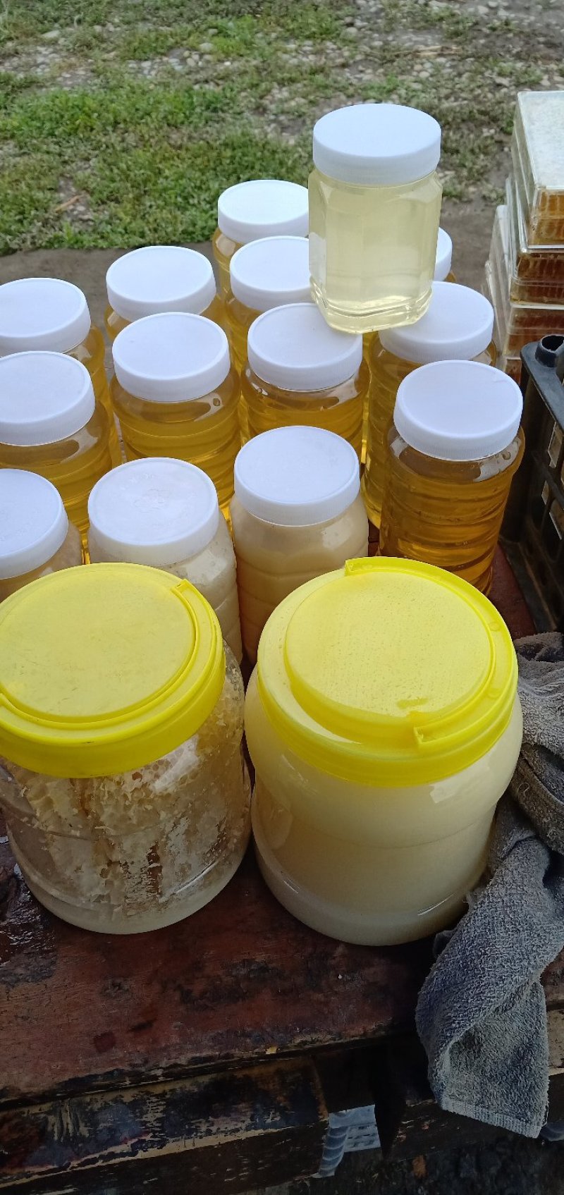 油菜花粉每瓶一斤每斤50元。批发零售，青海省海北州门源县