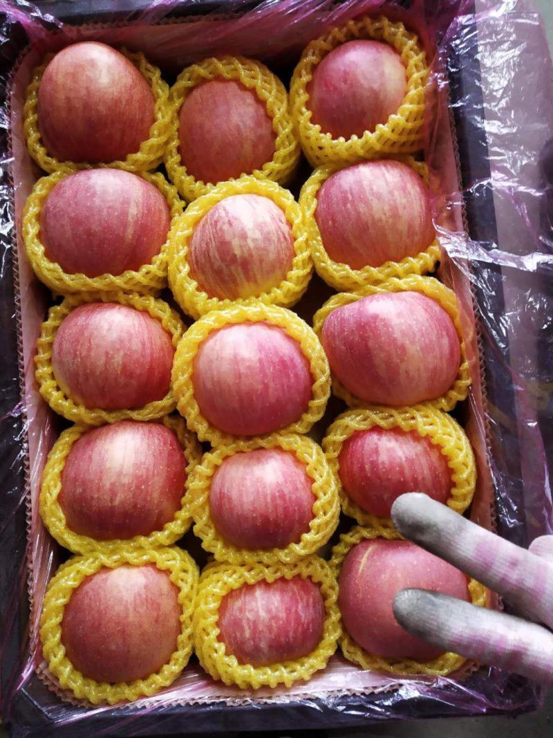 各种精品农产品，主营水果。