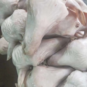 腿毛小生头可按客户要求加工