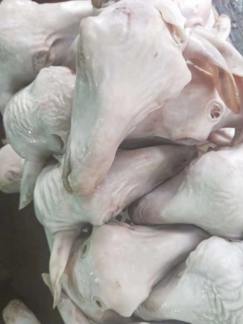 腿毛小生头可按客户要求加工