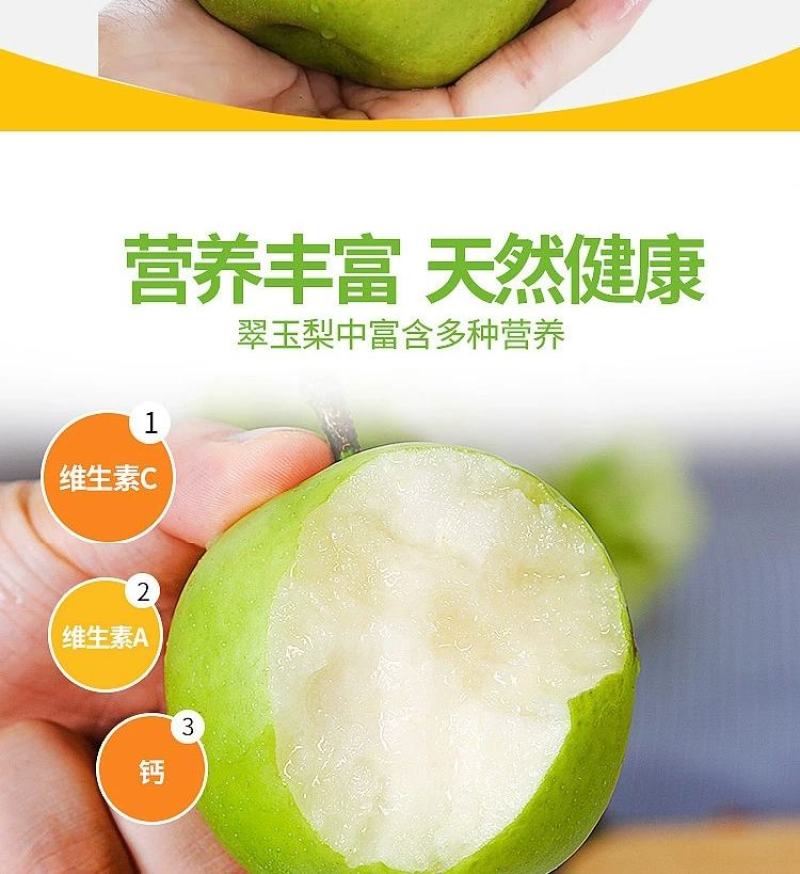 【推荐】礼品级皇冠梨大量上市品质保障农户自种批发价欢迎洽谈