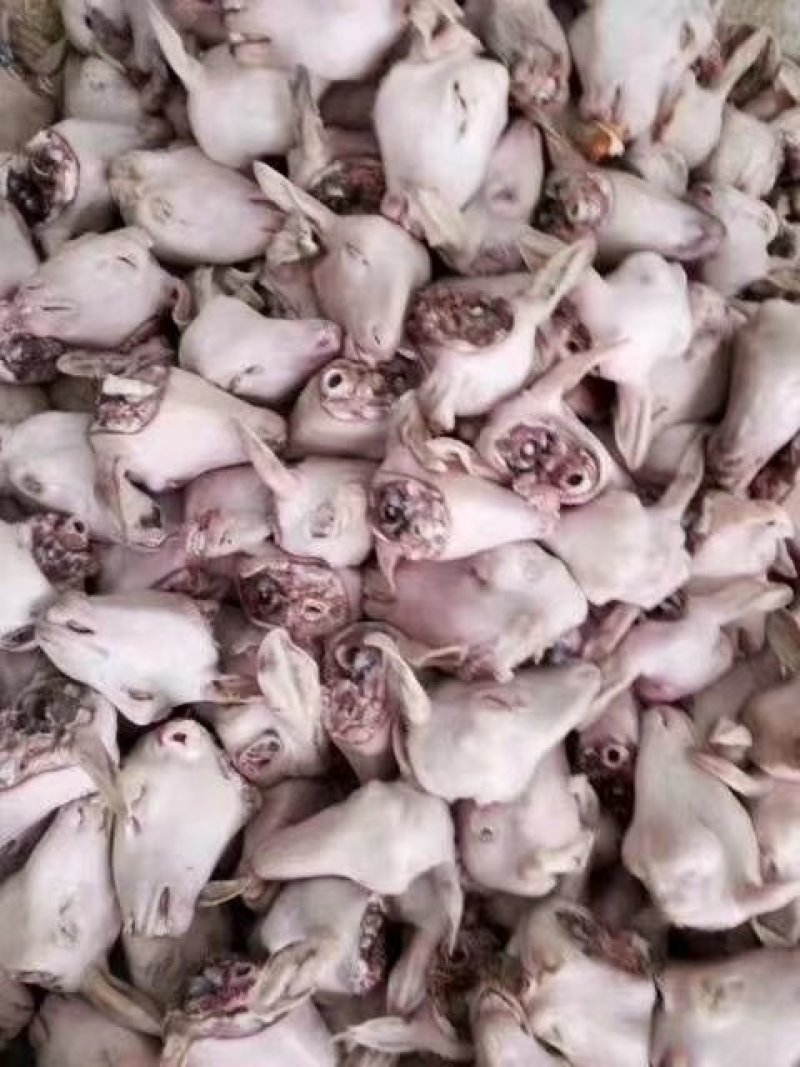 腿毛小生头可按客户要求加工