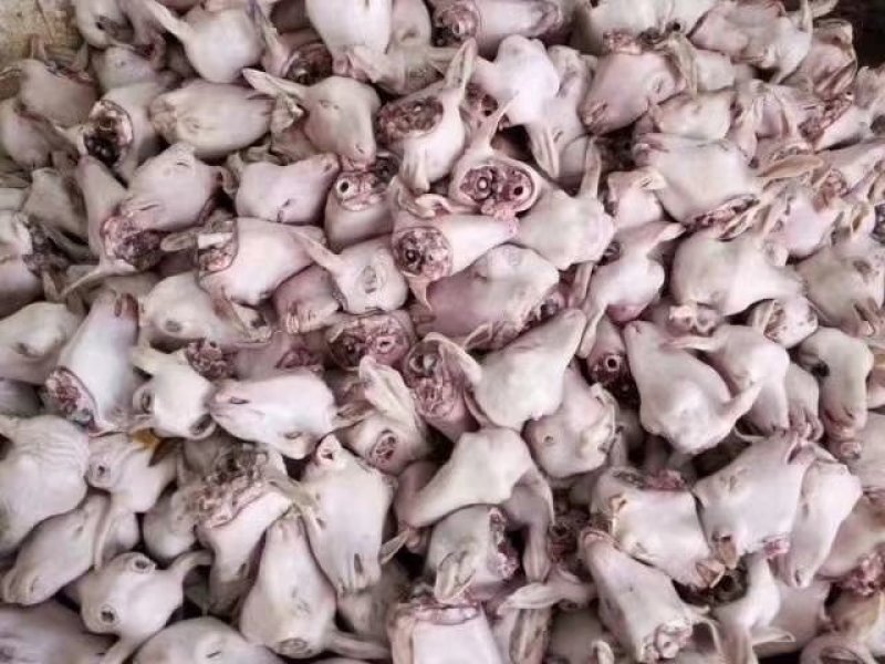 腿毛小生头可按客户要求加工