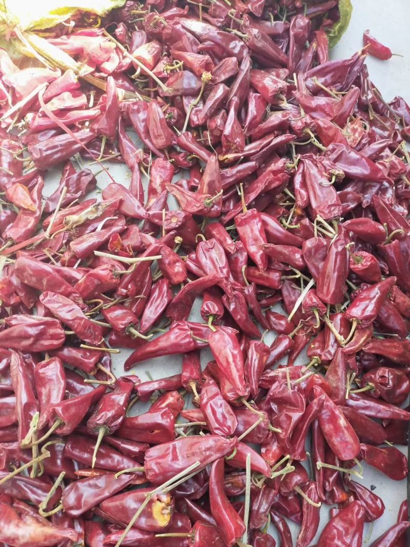 红干辣椒精品北京红干辣椒千斤红花皮落地椒