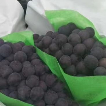 找客户，欢迎老板来合作，
