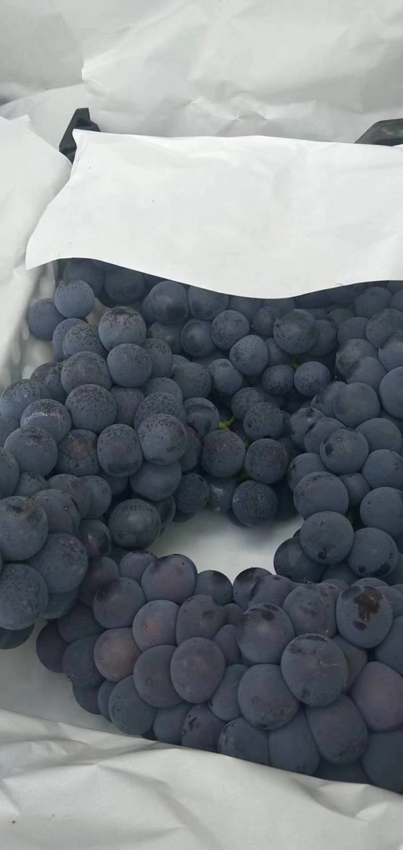 找客户，欢迎老板来合作，