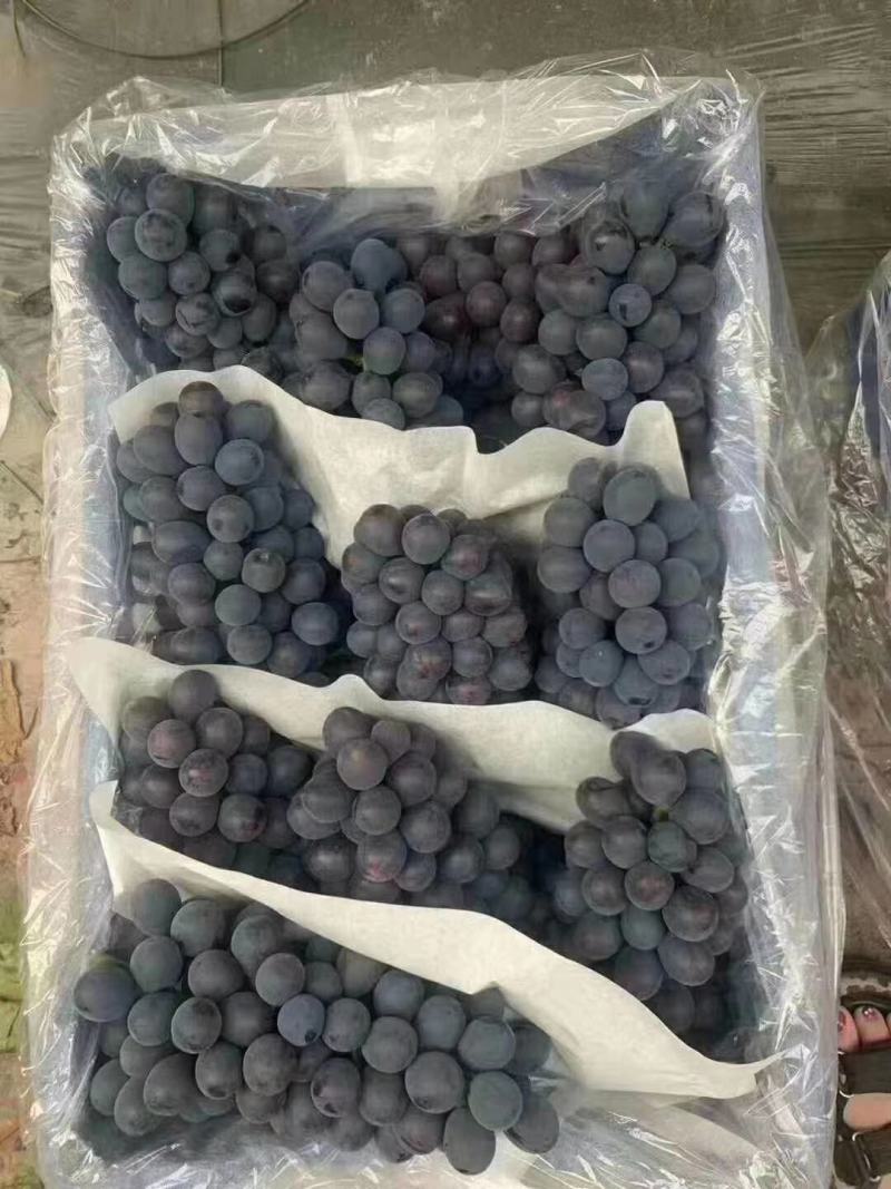 找客户，欢迎老板来合作，