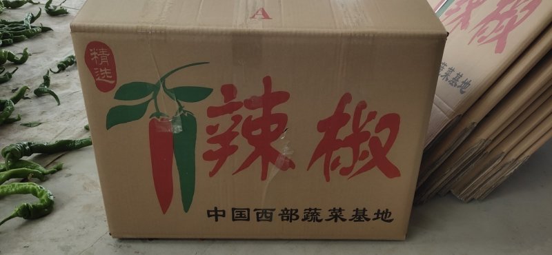 螺丝椒等各种辣椒大量有货