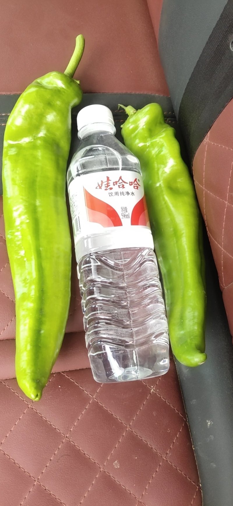 螺丝椒等各种辣椒大量有货