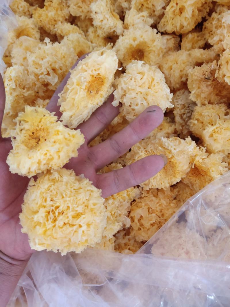 古田椴木小银耳-干货-量大从优【品质保证】产地直销