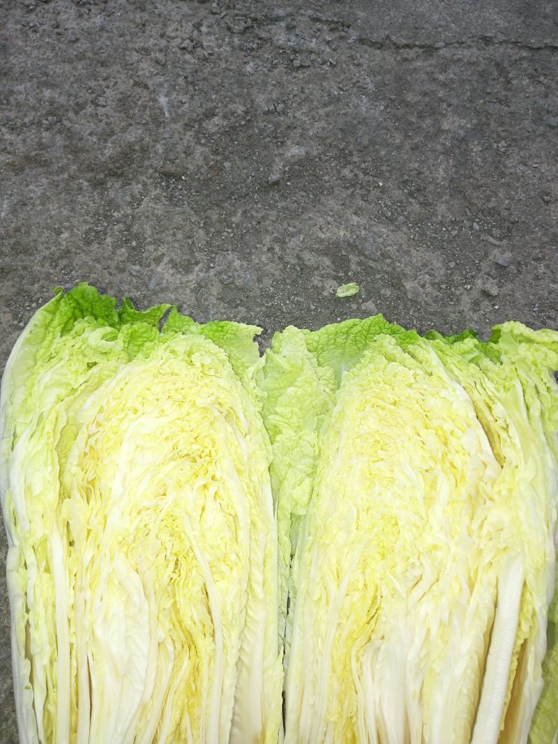 富硒之都高山黄心大白菜