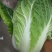 富硒之都高山黄心大白菜