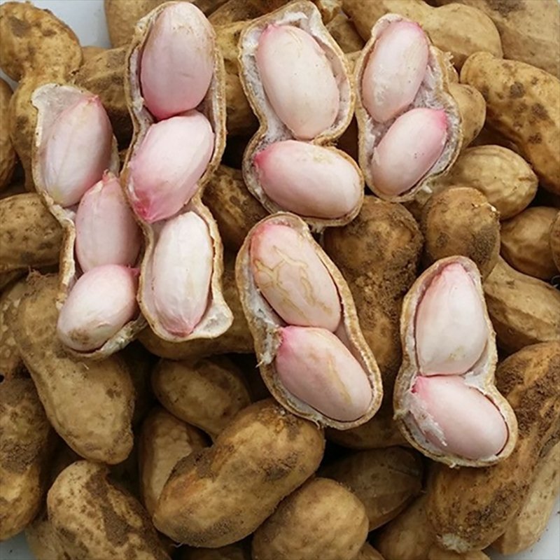 鲜花生电商一件代发，产地证