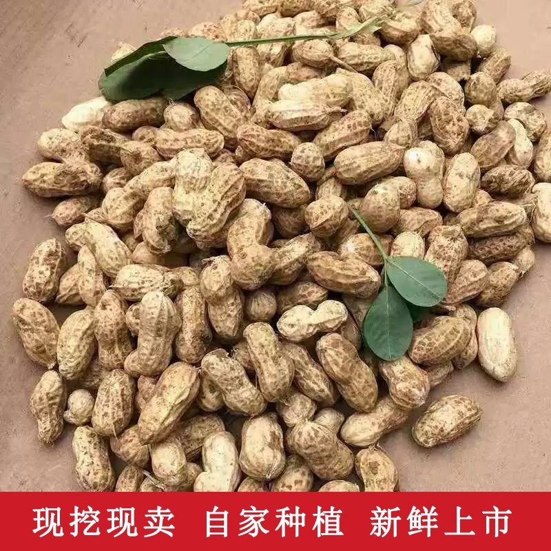 鲜花生电商一件代发，产地证