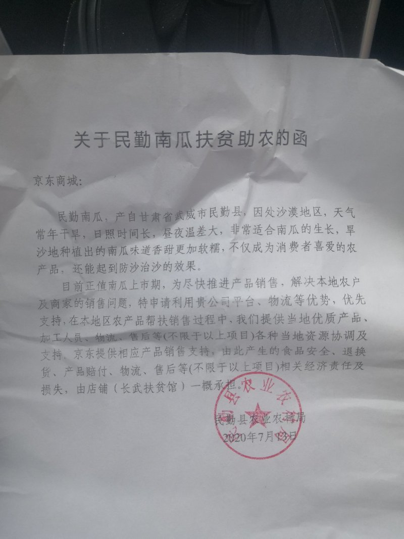 2022年沙土地日照长100万亩民勤坂栗南瓜