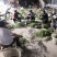 浙江省杭州市萧山区地头优质蒜苗大量上市中
