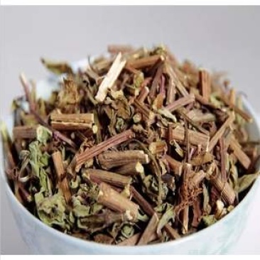 猫须草，常年批发供应冷背中药材猫须草