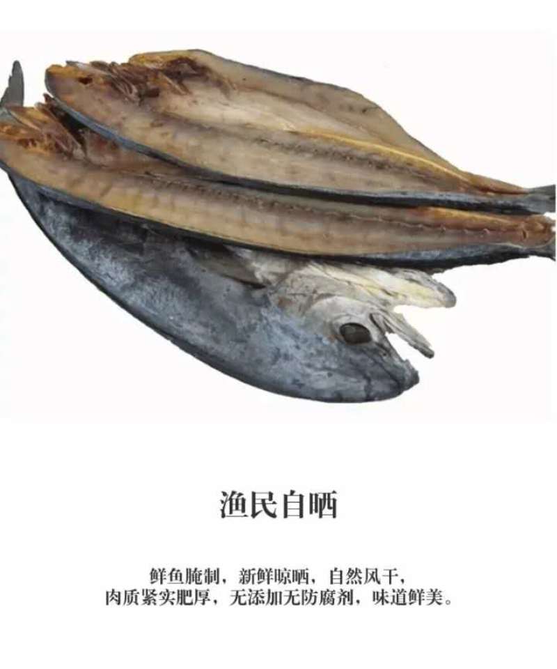 燕尾鲅鱼！真空独立包装！一款微咸鱼！大量有货