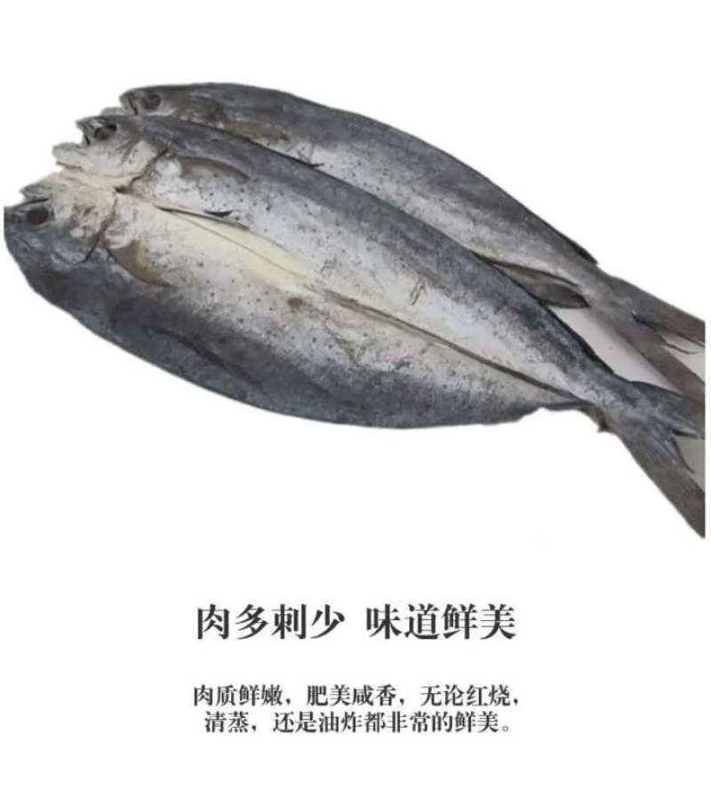 燕尾鲅鱼！真空独立包装！一款微咸鱼！大量有货