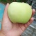 数百万斤华硕苹果（光果）现已上市，每天供货2万斤