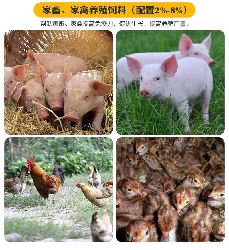 美国鸡肉粉鸡鸭鹅水产狗粮禽畜养殖饲料原料兽用包邮
