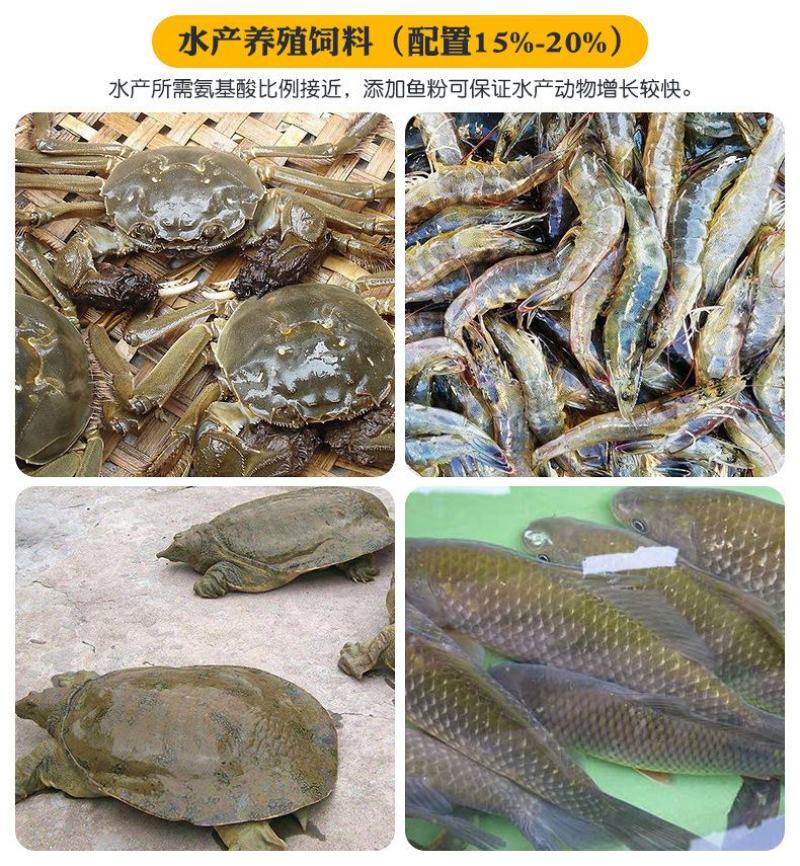美国鸡肉粉鸡鸭鹅水产狗粮禽畜养殖饲料原料兽用包邮