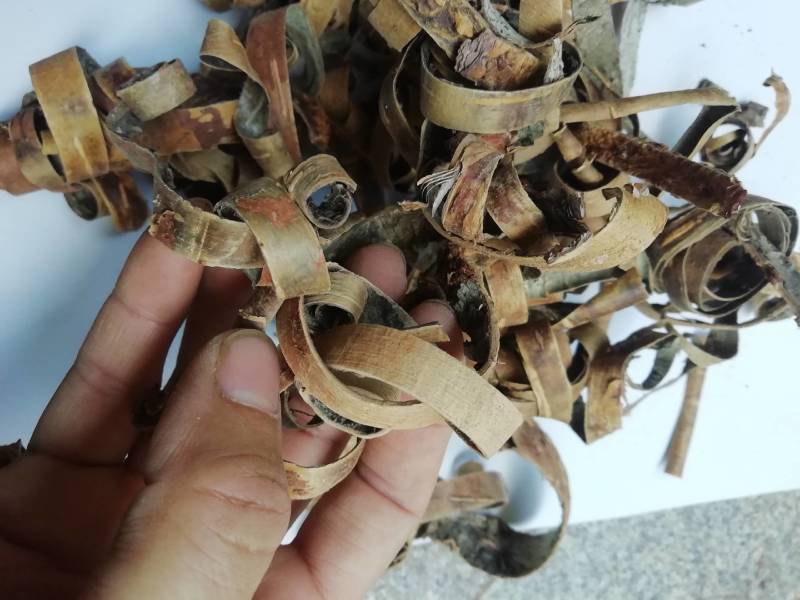榆白皮，榆白树皮批发加零售