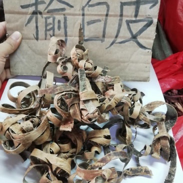 榆白皮，榆白树皮批发加零售
